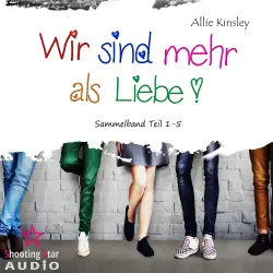 Cover - Allie Kinsley - Wir sind mehr als Liebe - Sammelband Teil 1 - 5