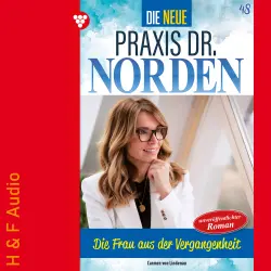Cover - Carmen von Lindenau - Die neue Praxis Dr. Norden - Band 48 - Die Frau aus der Vergangenheit
