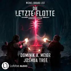 Cover - Dominik A. Meier - Die Letzte Flotte - Teil 5 - Armageddon