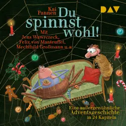Cover - Kai Pannen - Du spinnst wohl! Eine außergewöhnliche Adventsgeschichte in 24 Kapiteln