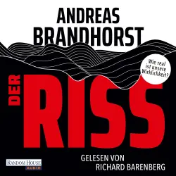 Cover - Andreas Brandhorst - Der Riss