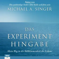 Cover - Michael Alan Singer - Das Experiment Hingabe - Mein Weg in die Vollkommenheit des Lebens