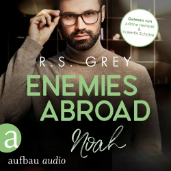 Cover - R.S. Grey - Handsome Heroes - Band 6 - Enemies abroad