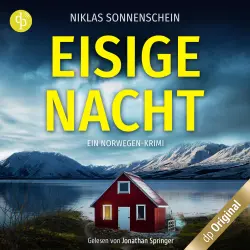 Cover - Niklas Sonnenschein - Karl Sortland ermittelt-Reihe - Band 1 - Eisige Nacht - Ein Norwegen-Krimi