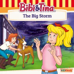 Cover - Bibi and Tina - The Big Storm
