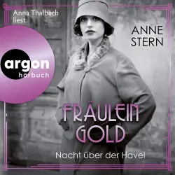 Cover - Anne Stern - Die Hebamme von Berlin - Band 7 - Fräulein Gold: Nacht über der Havel