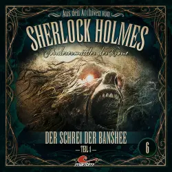 Cover - Sherlock Holmes - Folge 6 - Der Schrei der Banshee 1. Teil
