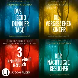 Cover - Dolores Redondo - Das Echo dunkler Tage - Die vergessenen Kinder - Der nächtliche Besucher - Die Baztán-Trilogie