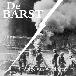 Cover - Aaltje van Wieringen - De barst