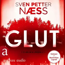 Cover - Sven Petter Naess - Team Oslo ermittelt - Band 1 - Glut