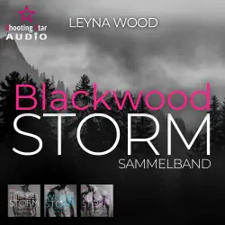 Cover - Leyna Wood - Blackwood STORM Trilogie - Band 4 - Blackwood Storm - Der Sammelband