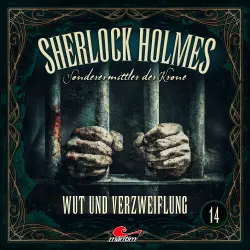 Cover - Sherlock Holmes - Folge 14 - Wut und Verzweiflung