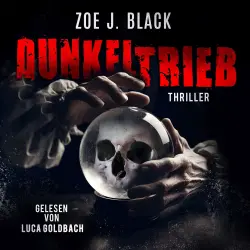 Cover - Künzel und & Lobenstein-Thriller