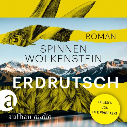 Cover - Burkhard Spinnen - Erdrutsch