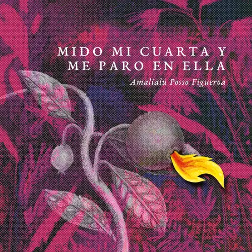 Cover - Amalialú Posso Figueroa - Mido mi cuarta y me paro en ella