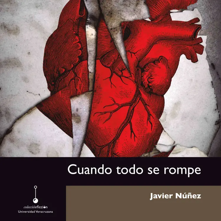 Cover von Javier Núñez - Cuando todo se rompe