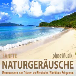 Cover - Torsten Abrolat - Sanfte Naturgeräusche (ohne Musik) - Meeresrauschen zum Träumen und Einschlafen, Wohlfühlen, Entspannen - Wellenrauschen pur, sanfte Naturgeräusche pur