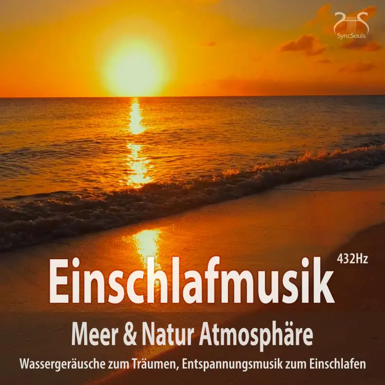 Cover von Torsten Abrolat - Einschlafmusik (432Hz) Meer Natur Atmosphäre: Wassergeräusche zum Träumen - Entspannungsmusik zum Einschlafen, Meeresauschen, Seevögel