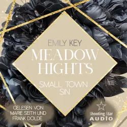Cover - Emily Key - New York Gentlemen - Band 11 - Meadow Hights: Small Town Sin