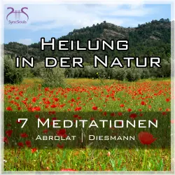 Cover - Torsten Abrolat - Heilung in der Natur - 7 einzigartige geführte Meditationen zum Auftanken im Alltag - mit Naturklängen und Entspannungsmusik - SyncSouls Kurz-Meditationen Vol. 1