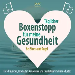 Cover - Torsten Abrolat - Täglicher Boxenstopp für meine Gesundheit! Entschleunigen, Innehalten, Ankommen und Durchatmen im Hier und Jetzt - Bei Stress und Angst