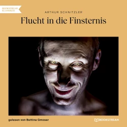 Cover - Arthur Schnitzler - Flucht in die Finsternis