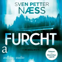 Cover - Sven Petter Naess - Team Oslo ermittelt - Band 2 - Furcht