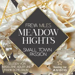 Cover - Freya Miles - New York Gentlemen - Band 12 - Meadow Hights: Small Town Passion