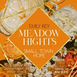 Cover - Emily Key - New York Gentlemen - Band 9 - Meadow Hights: Small Town Hope