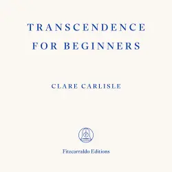 Cover - Fitzcarraldo Editions