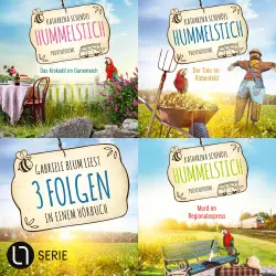 Cover - Katharina Schendel - Hummelstich - Sammelband 2: Folge 4-6