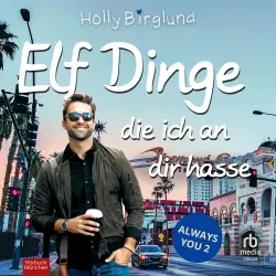 Cover - Holly Birglund - Always You - Always You - Band 2 - Elf Dinge, die ich an dir hasse