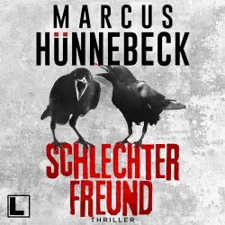 Cover - Marcus Hünnebeck - Drosten und Sommer - Band 26 - Schlechter Freund