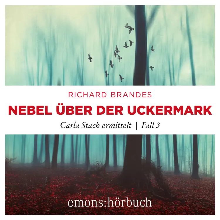 Cover von Richard Brandes - Carla Stach ermittelt - Fall 3 - Nebel über der Uckermark