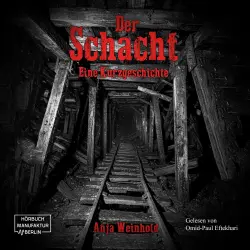 Cover - Anja Weinhold - Der Schacht