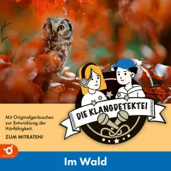Cover - Christian Walter - Klangdetektei - Folge 1 - Im Wald