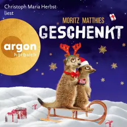 Cover - Weihnachten Spotify