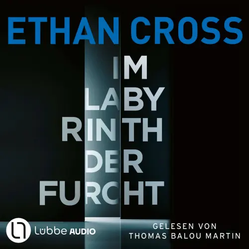 Cover von Ethan Cross - Die HÜTER-Reihe - Teil 2 - Im Labyrinth der Furcht