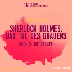 Cover - Sir Arthur Conan Doyle - Sherlock Holmes: Das Tal des Grauens - Band 2 - Die Rächer