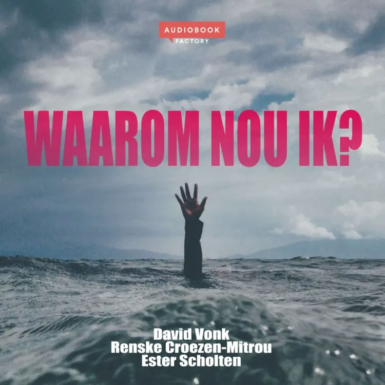 Cover von David Vonk - Waarom nou ik?
