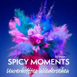 Cover - spicy moments by argon - spicy moments - Band 2 - Unverhofftes Wiedersehen - Erotische Geschichte
