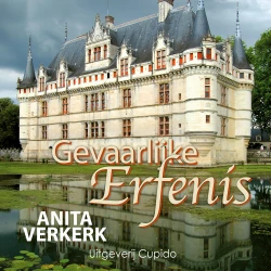 Cover - Anita Verkerk - Gevaarlijke erfenis