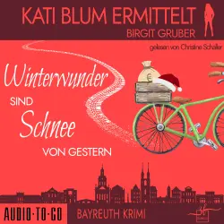 Cover - Birgit Gruber - Kati Blum ermittelt - Band 7 - Winterwunder sind Schnee von gestern