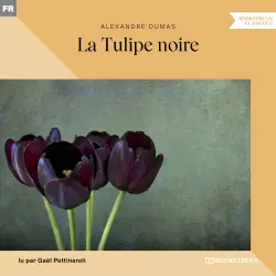 Cover - Alexandre Dumas - La Tulipe noire