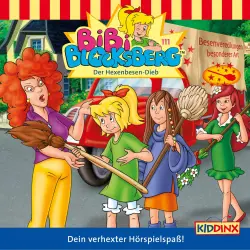 Cover - Bibi Blocksberg - Folge 111 - Der Hexenbesen-Dieb
