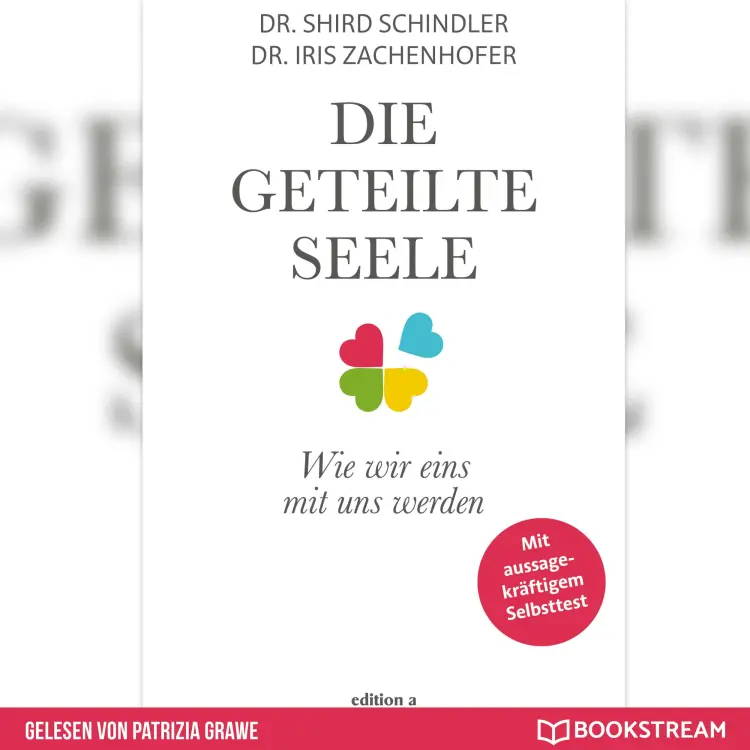 Cover von Shird Schindler - Die geteilte Seele - Wie wir eins mit uns werden