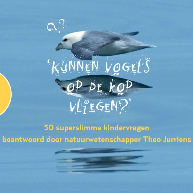 Cover von Theo Jurriens - Kunnen vogels op de kop vliegen? - 50 superslimme kindervragen
