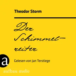 Cover - Theodor Storm - Der Schimmelreiter
